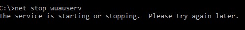 The-service-is-starting-or-stopping.jpg